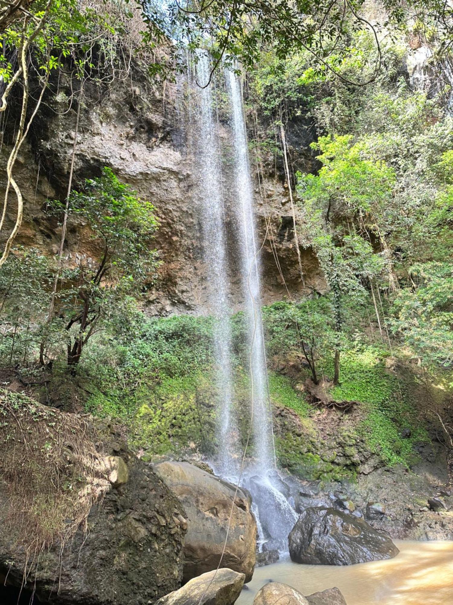 A Piece Of Paradise San Carlos Εξωτερικό φωτογραφία
