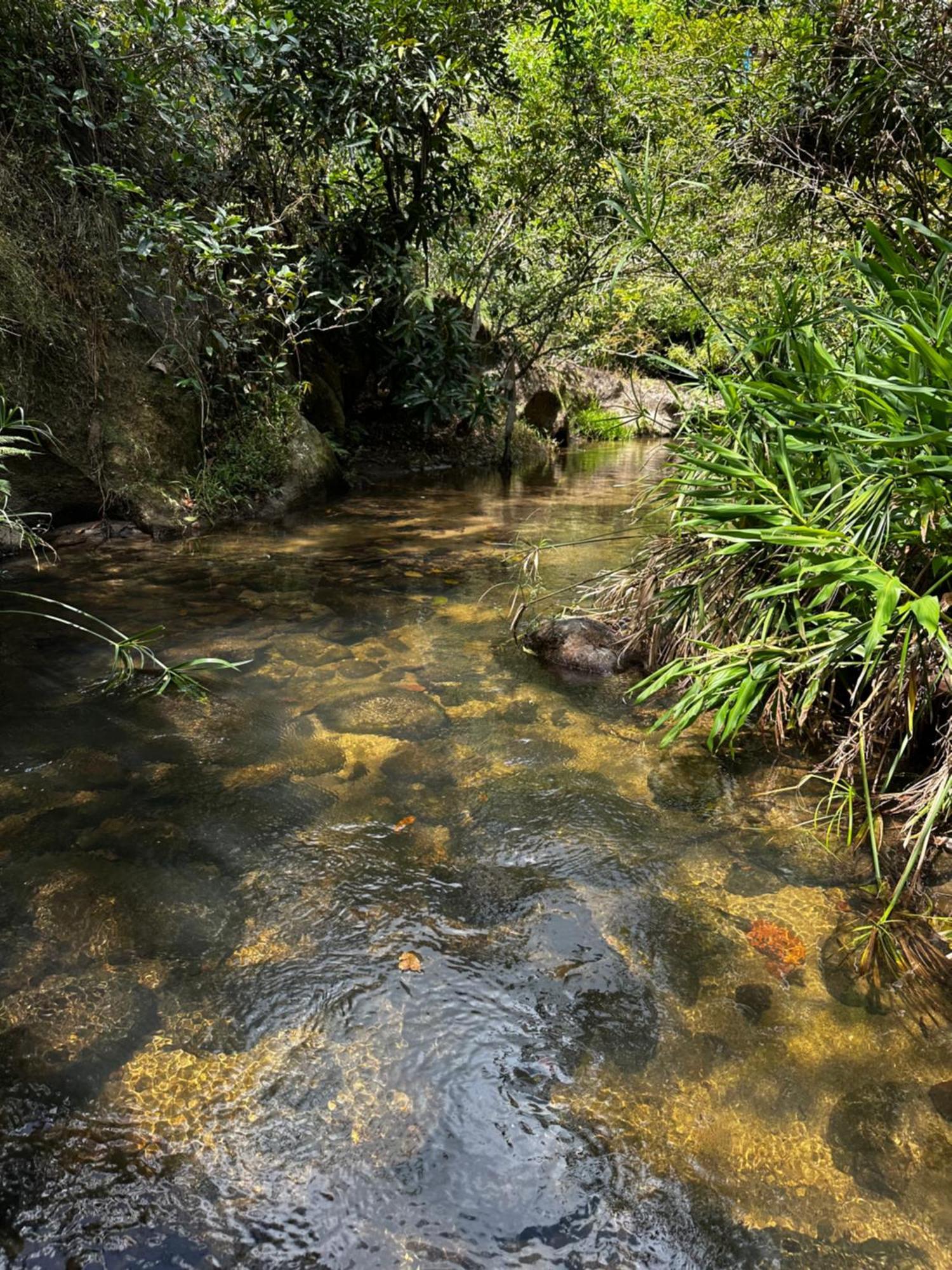 A Piece Of Paradise San Carlos Εξωτερικό φωτογραφία